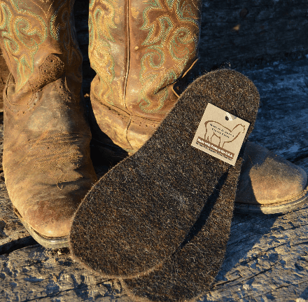 Shoe Insoles